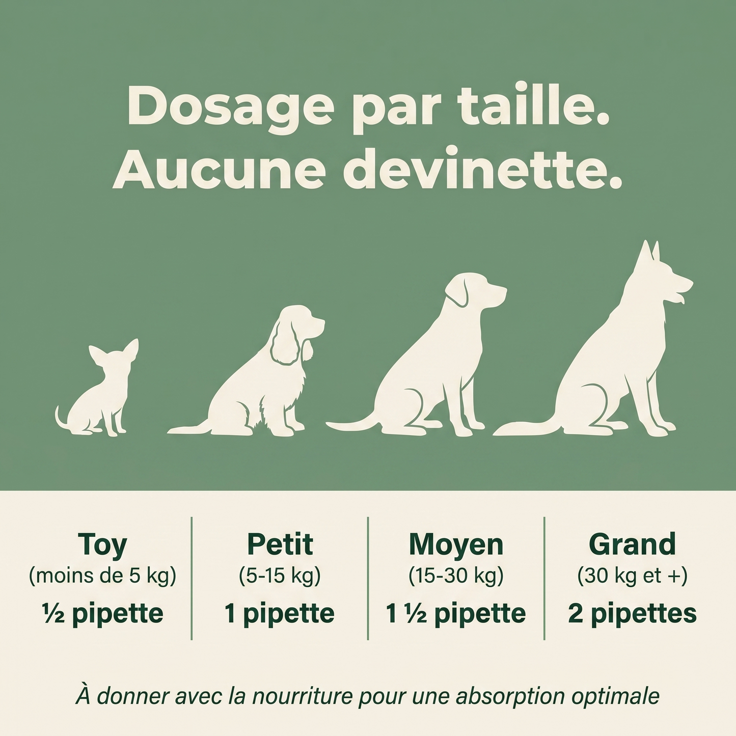 Le Protocole Filou - Soutien complet pour ton chien