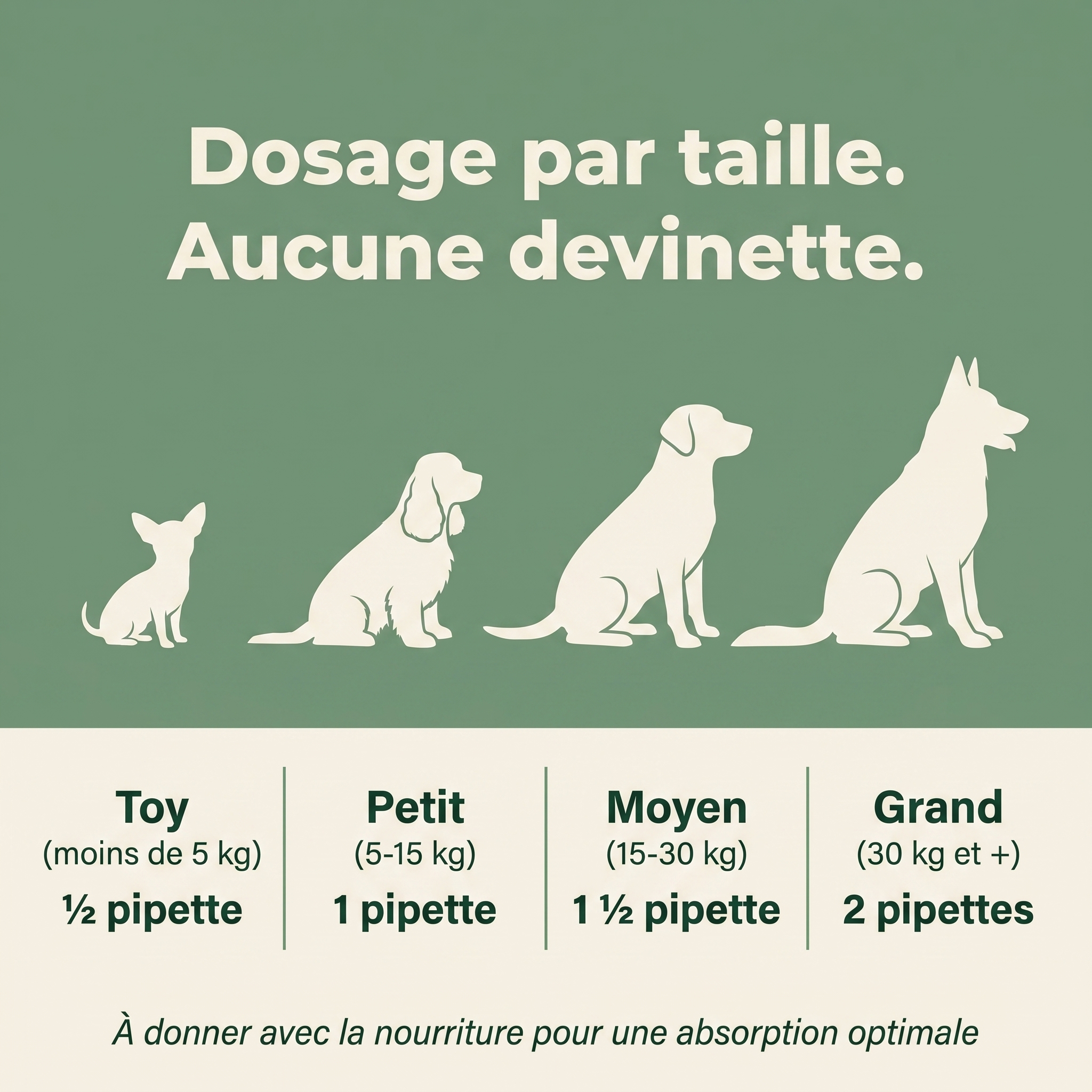 Le Protocole Filou - Soutien complet pour ton chien