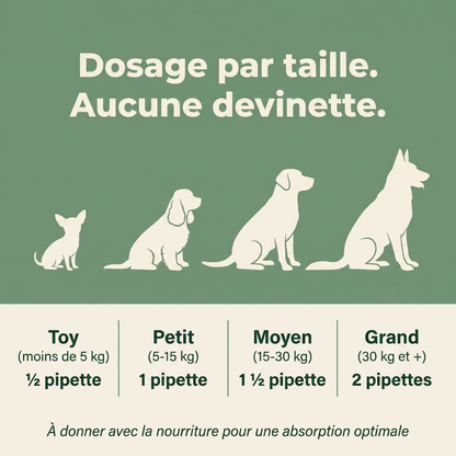 Le Protocole Filou - Soutien complet pour ton chien
