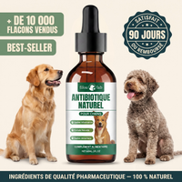 Le Protocole Filou - Soutien complet pour ton chien